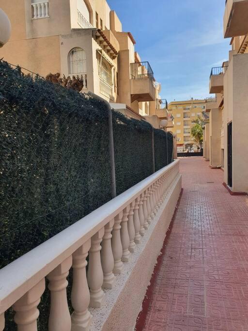 Apartments Near Park Torrevieja Eksteriør billede